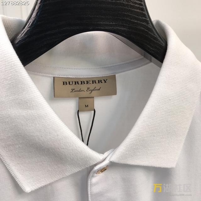 Burberryͱ2017ĵ˿۲POLO