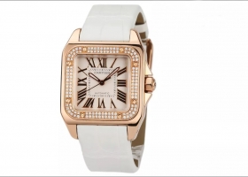 CARTIER ɣ˹ϵ õԶеŮ