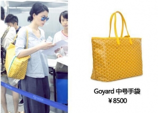 GoyardִɹΪ֪